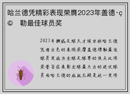 哈兰德凭精彩表现荣膺2023年盖德·穆勒最佳球员奖 哈兰德凭精彩表现荣膺2023年盖德·穆勒最佳球员奖